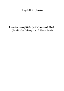 Lawinenungl&uuml;ck bei Krummh&uuml;bel [Dokument elektroniczny]