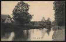 Ohlau - Partie an der Ohle [Dokument ikonograficzny]