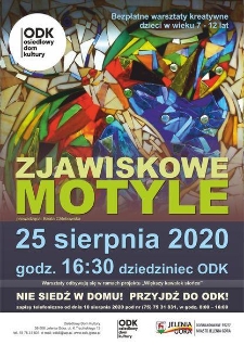 Zjawiskowe motyle - plakat [Dokument życia społecznego]