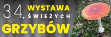 34. Wystawa Świeżych Grzybów - baner [Dokument życia społecznego]