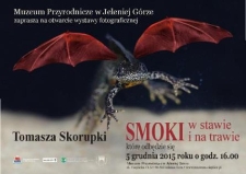 Smoki w stawie i na trawie - plakat [Dokument życia społecznego]