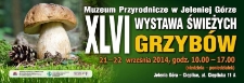 XLVI Wystawa Świezych Grzyb&oacute;w - baner [Dokument życia społecznego]