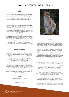 Fauna świata : drapieżniki. Ryś - informator [Dokument życia społecznego]