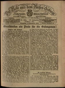 Der Bote aus dem Riesen-Gebirge : Zeitung für alle Stände, R. 107, 1919, nr 204