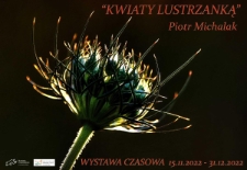 Kwiaty lustrzanką - plakat [Dokument życia społecznego]