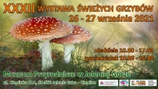 XXXII Wystawa Świeżych Grzybów - baner [Dokument życia społecznego]