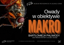 Owady w obiektywie MAKRO - plakat [Dokument życia społecznego]