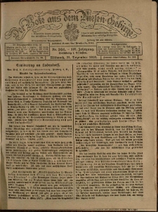 Der Bote aus dem Riesen-Gebirge : Zeitung für alle Stände, R. 107, 1919, nr 304