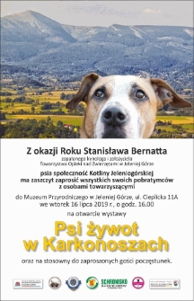 Psi żywot w Karkonoszach - plakat [Dokument życia społecznego]