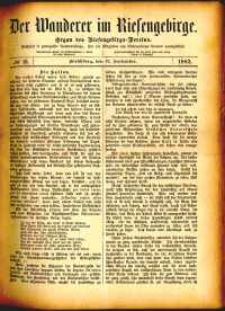Der Wanderer im Riesengebirge, 1882, nr 13
