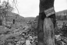 Pałac w Ciechanowicach (fot. 5) [Dokument ikonograficzny]