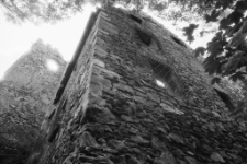 Zamek Lipa (fot. 3) [Dokument ikonograficzny]