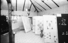 Jelenia Góra - Pawilon Firmowy (fot. 2) [Dokument ikonograficzny]