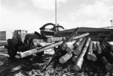 Zakłady Przemysłu Drzewnego w Sobieszowie (fot. 2) [Dokument ikonograficzny]