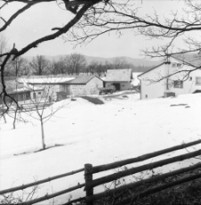 Karpniki - gospodarstwo rolne (fot. 1) [Dokument ikonograficzny]