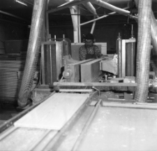 Lubawska Fabryka Mebli (fot. 3) [Dokument ikonograficzny]