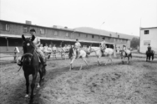 Miłk&oacute;w - stadnina przy Pałacu "Spiż" [Dokument ikonograficzny]