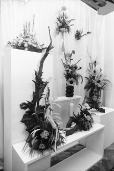 Jelenia Góra - wystawa kompozycji kwiatowych w klubie EMPIK (fot. 2) [Dokument ikonograficzny]