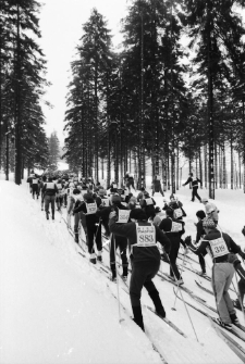 XIII Bieg Piastów (fot. 7) [Dokument ikonograficzny]