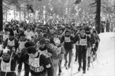 XIII Bieg Piastów (fot. 8) [Dokument ikonograficzny]