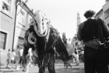 Gryf&oacute;w Śląski - Międzynarodowy Festiwal Teatr&oacute;w Ulicznych (fot. 4) [Dokument ikonograficzny]