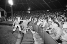 Cyrk Wielki na Zabobrzu (fot. 4) [Dokument ikonograficzny]