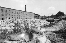 Cegielnia w Jerzmankach (fot. 1) [Dokument ikonograficzny]