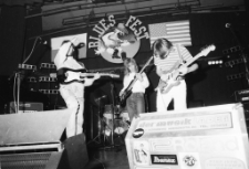 Jelenia G&oacute;ra - Blues Fest (fot. 2) [Dokument ikonograficzny]