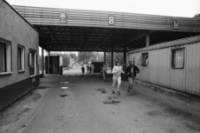 Zgorzelec - Bieg Przyjaźni Görlitz - Zgorzelec (fot. 2) [Dokument ikonograficzny]