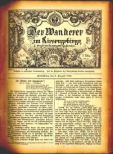 Der Wanderer im Riesengebirge, 1883, nr 24