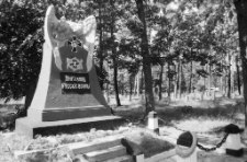 Świętosz&oacute;w - Cmentarz Żołnierzy Rosyjskich (fot. 2) [Dokument ikonograficzny]