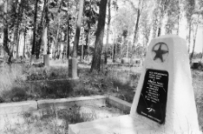 Świętosz&oacute;w - Cmentarz Żołnierzy Rosyjskich (fot. 3) [Dokument ikonograficzny]