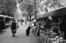 Görlitz (fot. 7) [Dokument ikonograficzny]