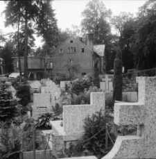 Jelenia G&oacute;ra - cmentarz komunalny (fot. 4) [Dokument ikonograficzny]