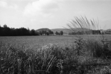 Barcinek [Dokument ikonograficzny]