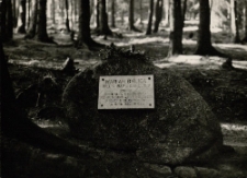 Karpacz - Tablica upamiętniająca śmierć Mariana Bylicy [Dokument ikonograficzny]