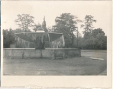 Fontanna "Grzybek" w Ciechocinku [Dokument ikonograficzny]