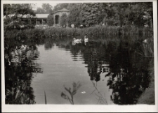 Park Zdrojowy w Ciechocinku [Dokument ikonograficzny]