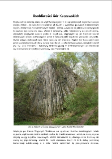 Osobliwości G&oacute;r Kaczawskich