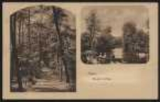 Ohlau – Partie im Park [Dokument ikonograficzny]