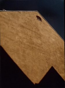 Okna [3] [Dokument ikonograficzny]