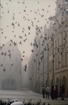 Styczniowy Poranek [Dokument ikonograficzny]