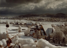 Zabobrze II zimą [Dokument ikonograficzny]