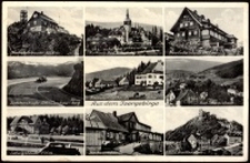 Aus dem Isergebirge [Dokument ikonograficzny]