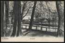 Ohlau - Parkpartie [Dokument ikonograficzny]