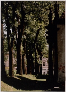 Blisko Centrum [Dokument ikonograficzny]