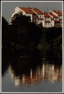 Osiedle nad stawem [Dokument ikonograficzny]