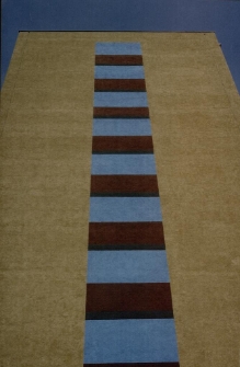 Zabobrzańskie wieżowce 2 [Dokument ikonograficzny]