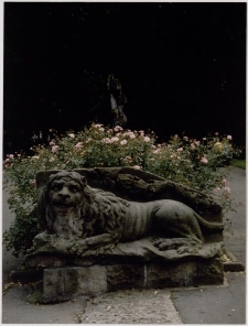 Strażnik Parku Zdrojowego [Dokument ikonograficzny]