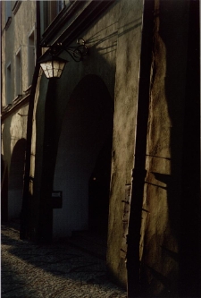 Późne słońce [Dokument ikonograficzny]